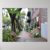 Old Savannah Poster (Vorne)