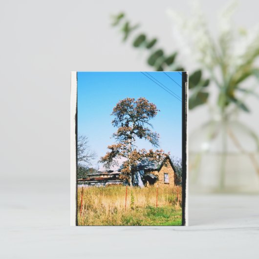 Old School House Postkarte (Stehend Vorderseite)