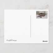 Old School!-School Bus Postcard Postkarte (Rückseite)