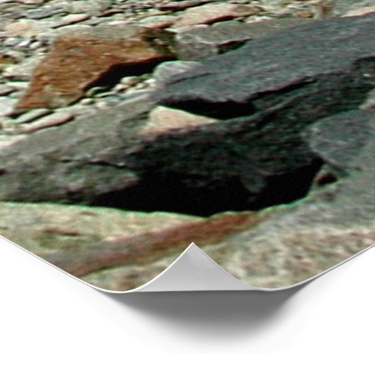 Old Scituate Lighthouse Foto Poster (Ecke)