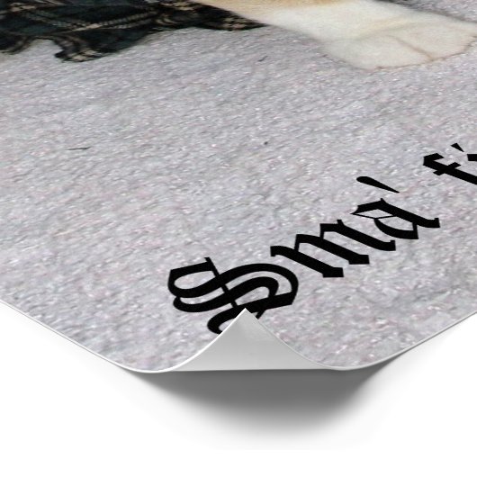 Old Scottish Fold Sprichwort Poster (Ecke)