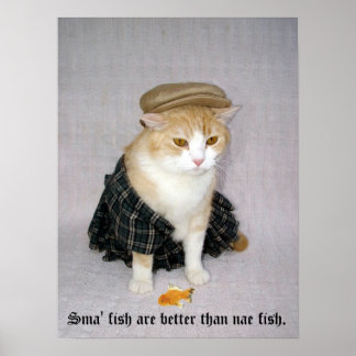 Old Scottish Fold Sprichwort Poster