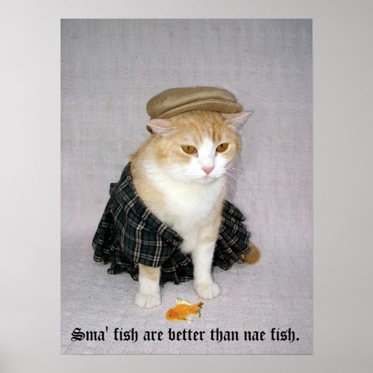 Old Scottish Fold Sprichwort Poster (Vorne)