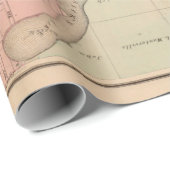 Old Stillwater MN Map (1874) Geschenkpapier (Rolleneckpunkt)