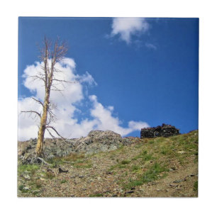 Old Stone Cabin at Gaylor Lakes, Tioga Pass Fliese