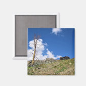 Old Stone Cabin at Gaylor Lakes, Tioga Pass Magnet (Vorderseite/Rückseite)