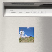 Old Stone Cabin at Gaylor Lakes, Tioga Pass Magnet (In Situ (Geschirrspüler))