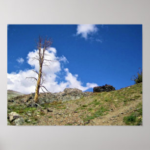 Old Stone Cabin at Gaylor Lakes, Tioga Pass Poster
