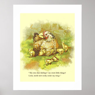 Old Storybook Page Mother Hen with Chicks Kinderzi Poster