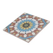 Old Style Spanish Tile Browns Fliese (Seite)