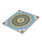 Old Style Spanish Tile Browns Fliese (Seite)