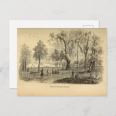 Old Tampa Bay Postkarte (Vorne/Hinten)