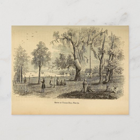 Old Tampa Bay Postkarte (Vorderseite)