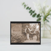 Old Time Donkey Postcard Postkarte (Stehend Vorderseite)