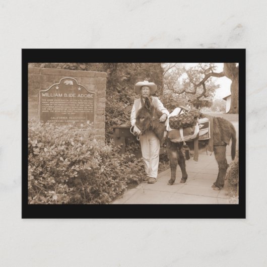 Old Time Donkey Postcard Postkarte (Vorderseite)