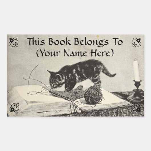 Old Time Kitten Cat Knitting Book Plate Rechteckiger Aufkleber (Vorderseite)