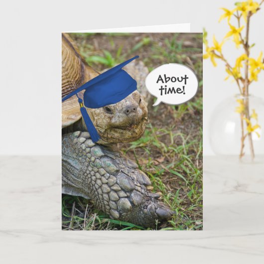 Old Tortoise Graduate mit Blue Cap Karte (Gelbe Blume)