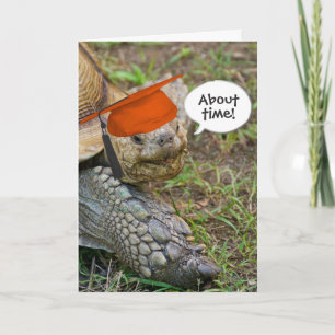 Old Tortoise Graduate mit Orange Cap Karte