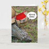 Old Tortoise Graduate mit roter Cap Karte (Gelbe Blume)