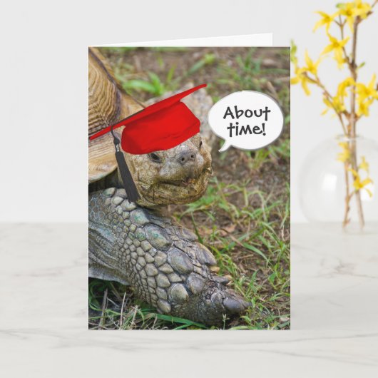Old Tortoise Graduate mit roter Cap Karte (Gelbe Blume)