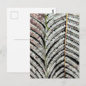 Old Tree Fern Frond Postkarte (Vorne/Hinten)