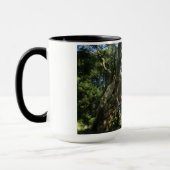 Old Tree Foto Ringer Combo Tasse (Links)