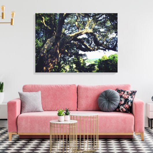 Old Tree Foto Single Print Leinwanddruck (Insitu (Wohnzimmer))