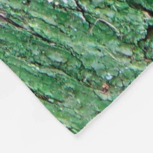 Old Weathered Painted Green Wood Background Textur Fleecedecke (Ecke)