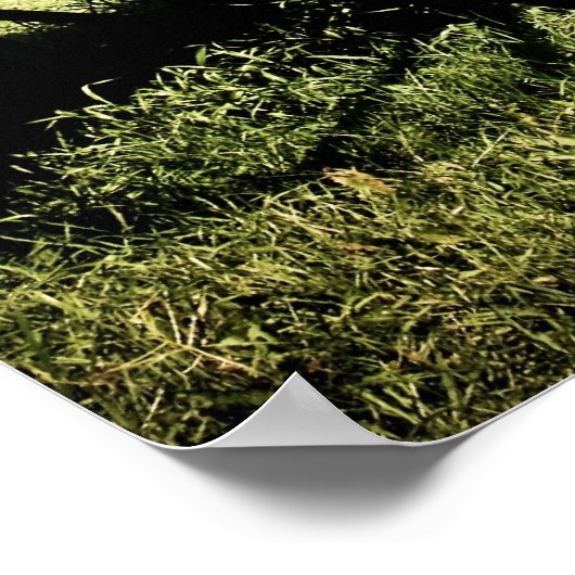 Old West Covered Wagon 04 Poster (Ecke)