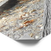 Old West Pioneer Wagon Poster (Ecke)