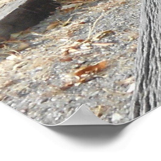 Old West Pioneer Wagon Poster (Ecke)