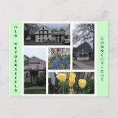 Old Wethersfield Connecticut Postcard Postkarte (Vorderseite)