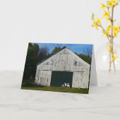 Old White Barry Grußkarte Karte (Gelbe Blume)