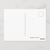 Old Windmills Olympos Karpathos, Griechenland mit Postkarte (Rückseite)