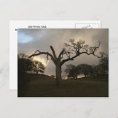 Old Winter Oak Postkarte (Vorne/Hinten)
