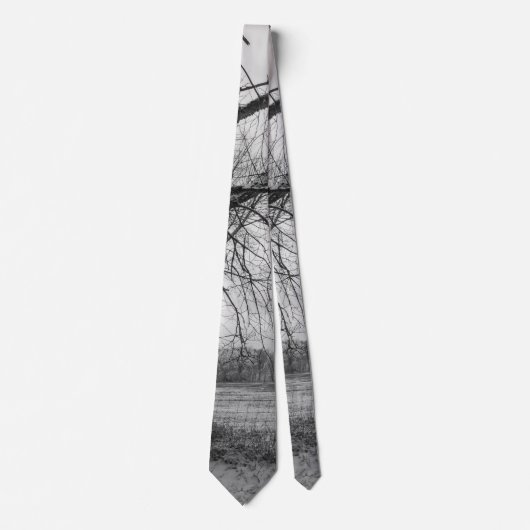 Old Winter Tree Grayscale Neck Tie Krawatte (Vorderseite)