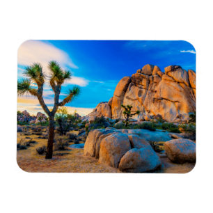Old Woman Rock - Joshua Tree Nationalpark Magnet