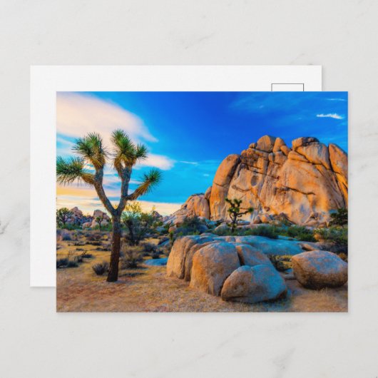Old Woman Rock - Joshua Tree Nationalpark Postkarte (Vorne/Hinten)