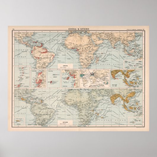 Old World Cocoa & Spices Map (1907) Poster (Vorne)