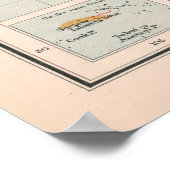 Old World Cocoa & Spices Map (1907) Poster (Ecke)