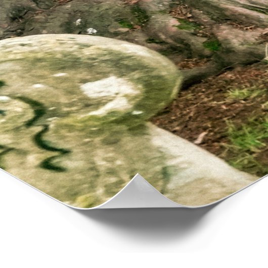 Old Yew Trees Poster (Ecke)