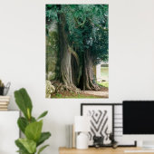 Old Yew Trees Poster (Heimbüro)