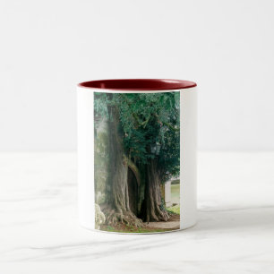 Old Yew Trees Zweifarbige Tasse