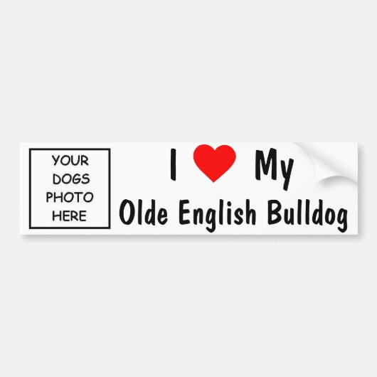 Olde Englisch-Bulldogge Autoaufkleber (Vorne)