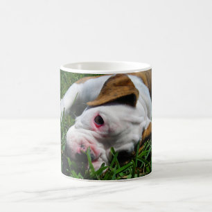 Olde englischer Bulldoggen-Welpe Kaffeetasse