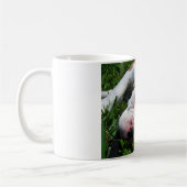 Olde englischer Bulldoggen-Welpe Kaffeetasse (Links)