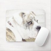 Olde english bulldogge mousepad (Mit Mouse)