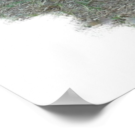 Olde English Bulldogge Puppy Poster (Ecke)