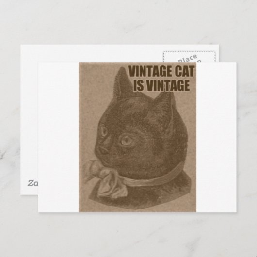 Olde LOLcat Postkarte (Vorne/Hinten)