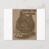 Olde LOLcat